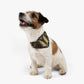 "Luxury" Pet Bandana Collar